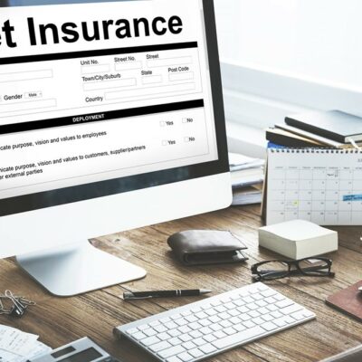 14 Inclusions of a Pet Insurance Cover