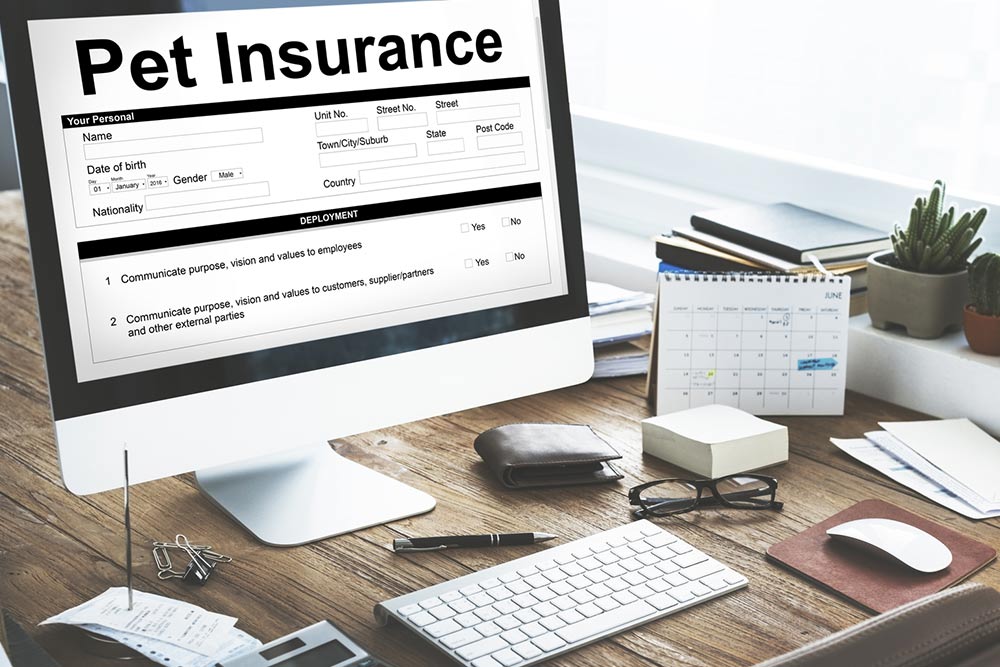 14 Inclusions of a Pet Insurance Cover