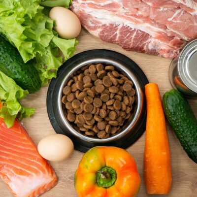 10 Human Foods That Are Safe for Cats