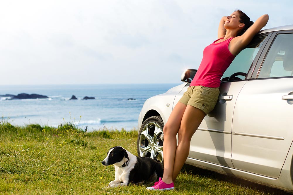 13 Things to Include in a Pet Travel Checklist