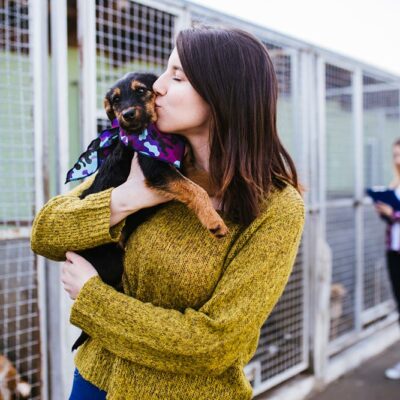 5 Reasons to Adopt or Rescue a Pet