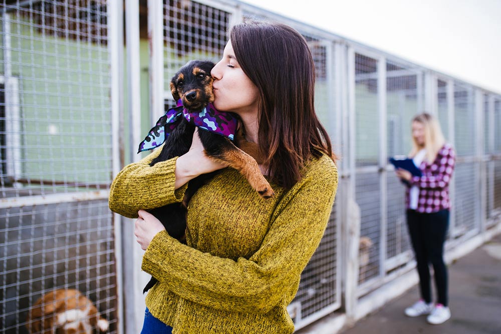 5 Reasons to Adopt or Rescue a Pet