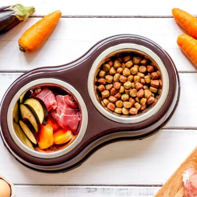 8 Common Food Allergies in Dogs and Their Causes