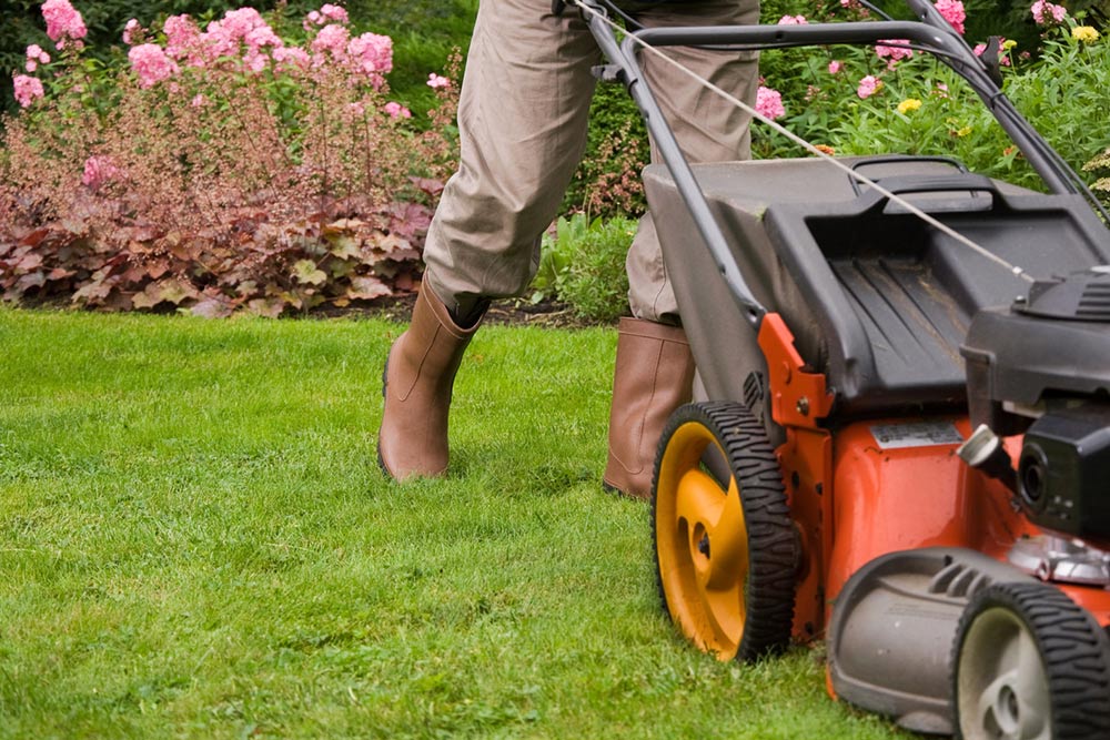 8 Hacks to Make Yard Work Easy